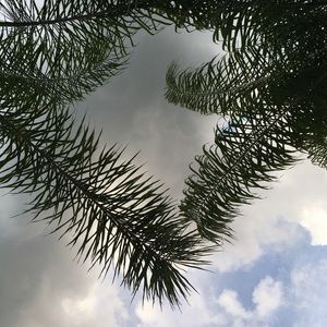 Meet your Posher, Marlena